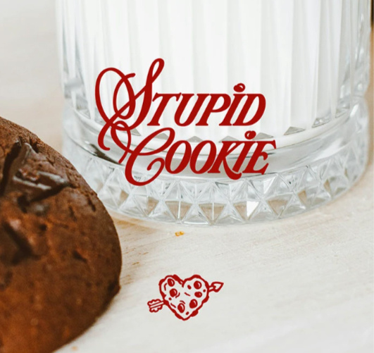 Stupid Cookie
